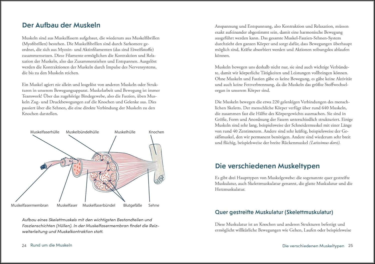 Kraft und Stabilität bis ins hohe Alter