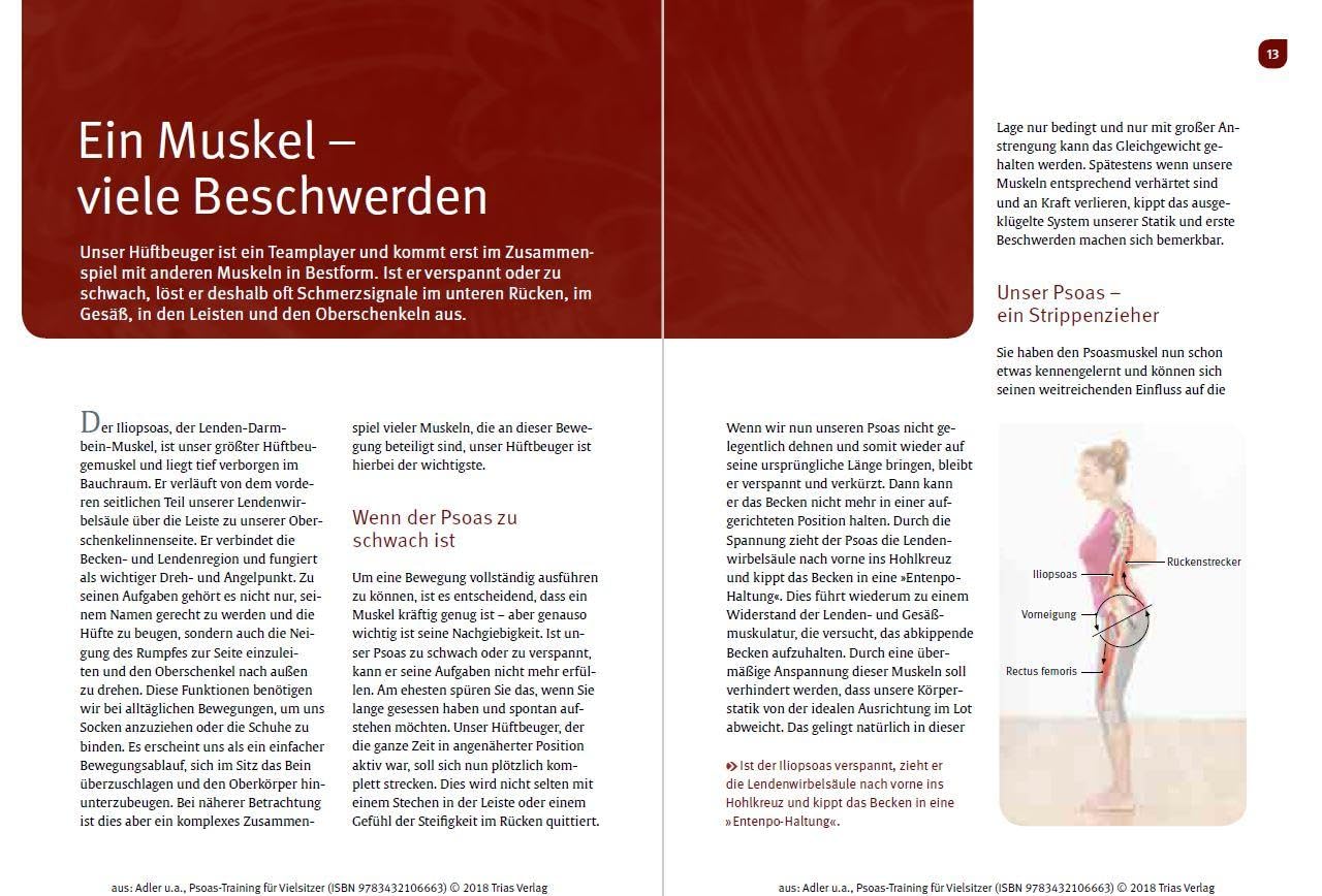 Psoas-Training für Vielsitzer